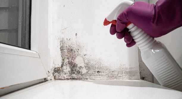 Best Water damage restoration company  in USA